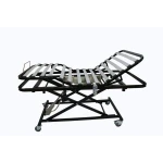 custom geriatric bed