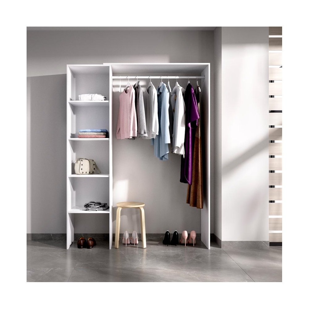 walk-in closet with adjustable shelves