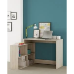 desk with shelves