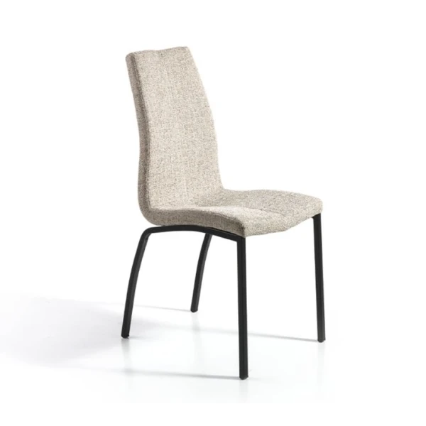 Dining Chair With Back