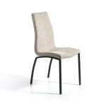 Dining Chair With Back
