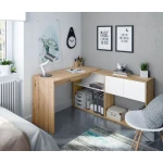 Desk With bookshelf integrated