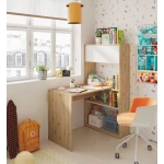 Desk With bookshelf integrated