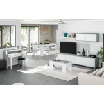 Living room TV cabinet set