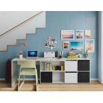 Reversible Desk  with module