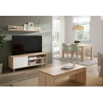 Living room furniture set