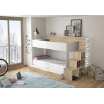 LITERA BICOLOR ARTEA