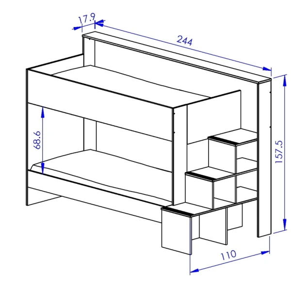 LITERA BICOLOR ARTEA