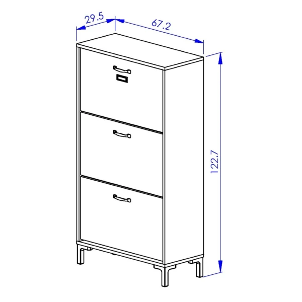 Furniture with shoe rack