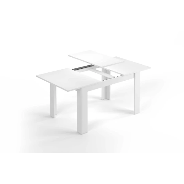 Table with extendable leaves